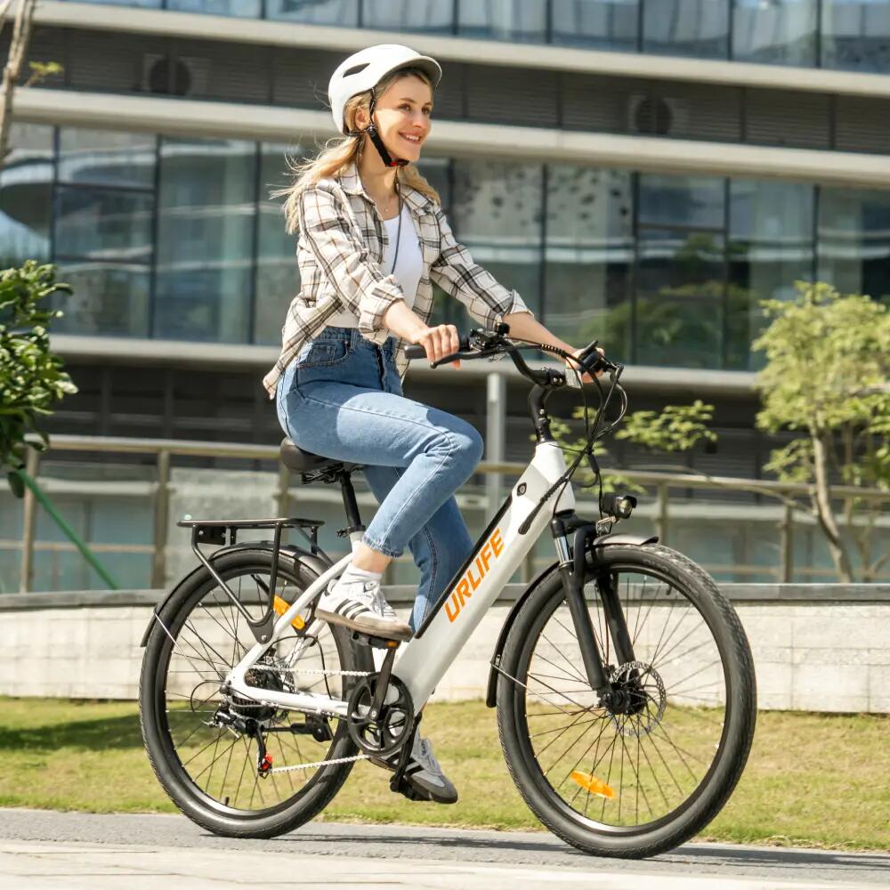Stads elektrische fiets URLIFE E26 48V 10.4Ah accu afneembaar volwassen 4/14