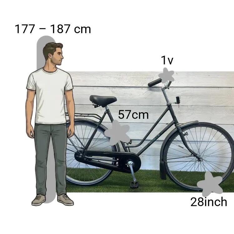 Tweedehands Gazelle Impala 2/4