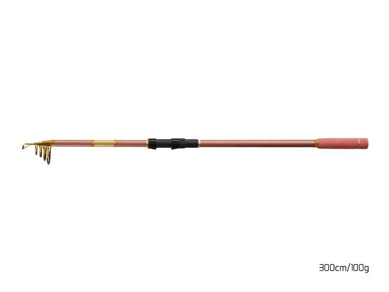 Canne carpe télescopique QUEEN Tele | 300cm/100g 2/6