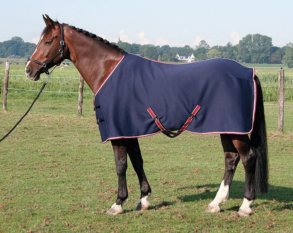 HARRYS HORSE picture