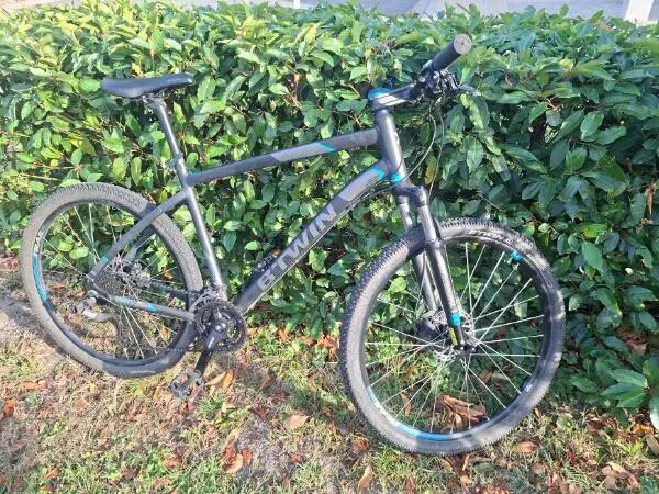 BTWIN picture