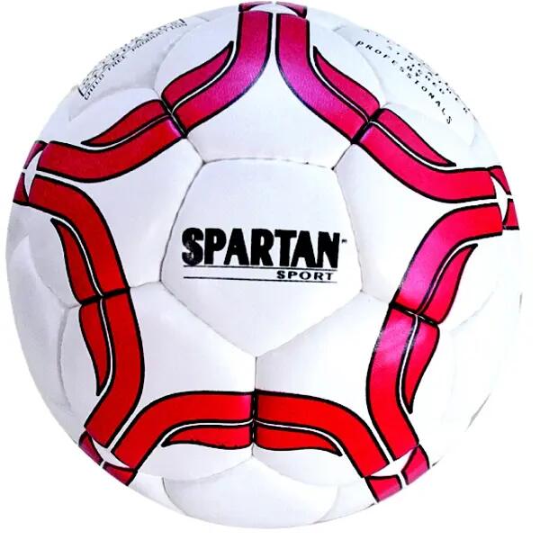 SPARTAN SPORT picture