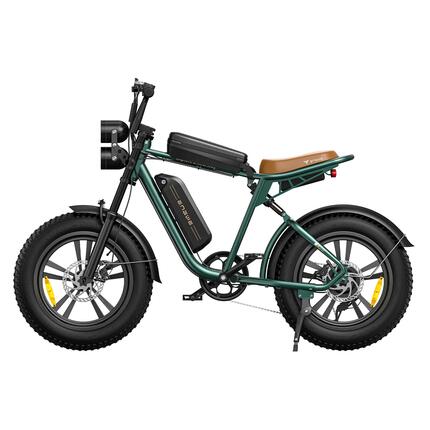 Elektrische fiets voor volwassenen ENGWE M20 dubbele accu, IPX5 waterdicht.