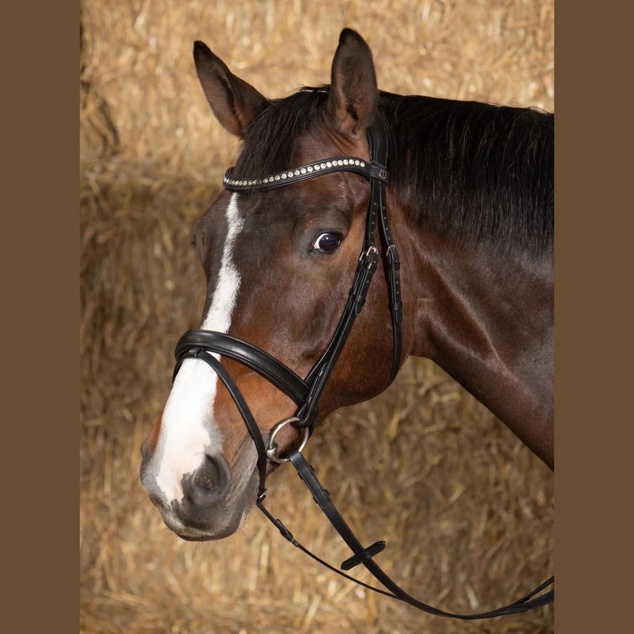 HARRYS HORSE picture
