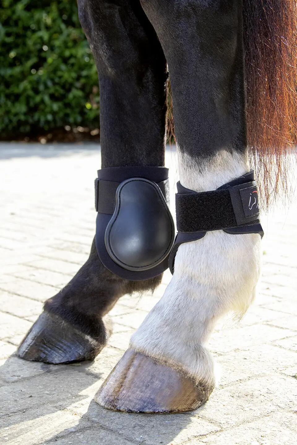 Flettenti di cavallo HKM Premium 3/3
