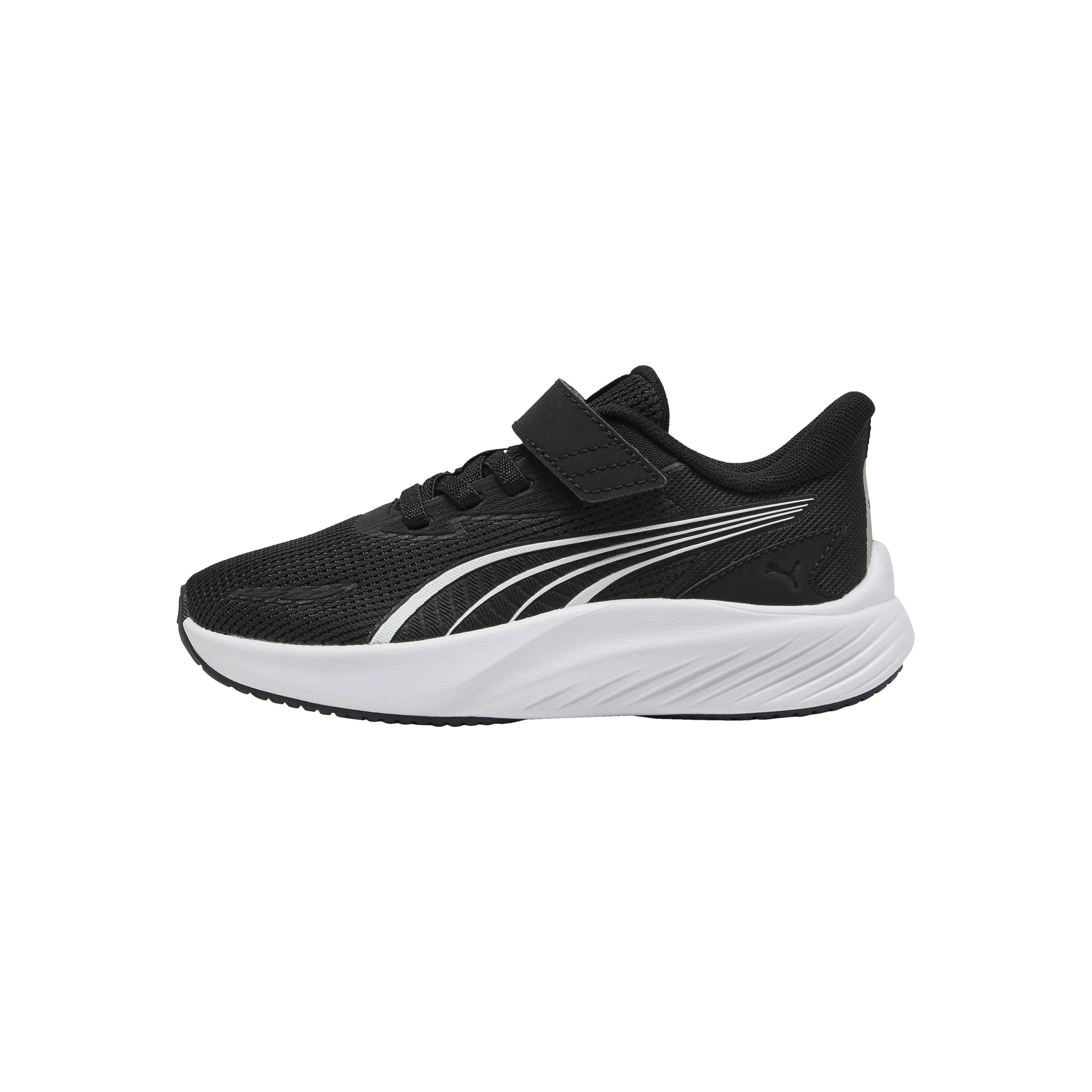 PUMA picture