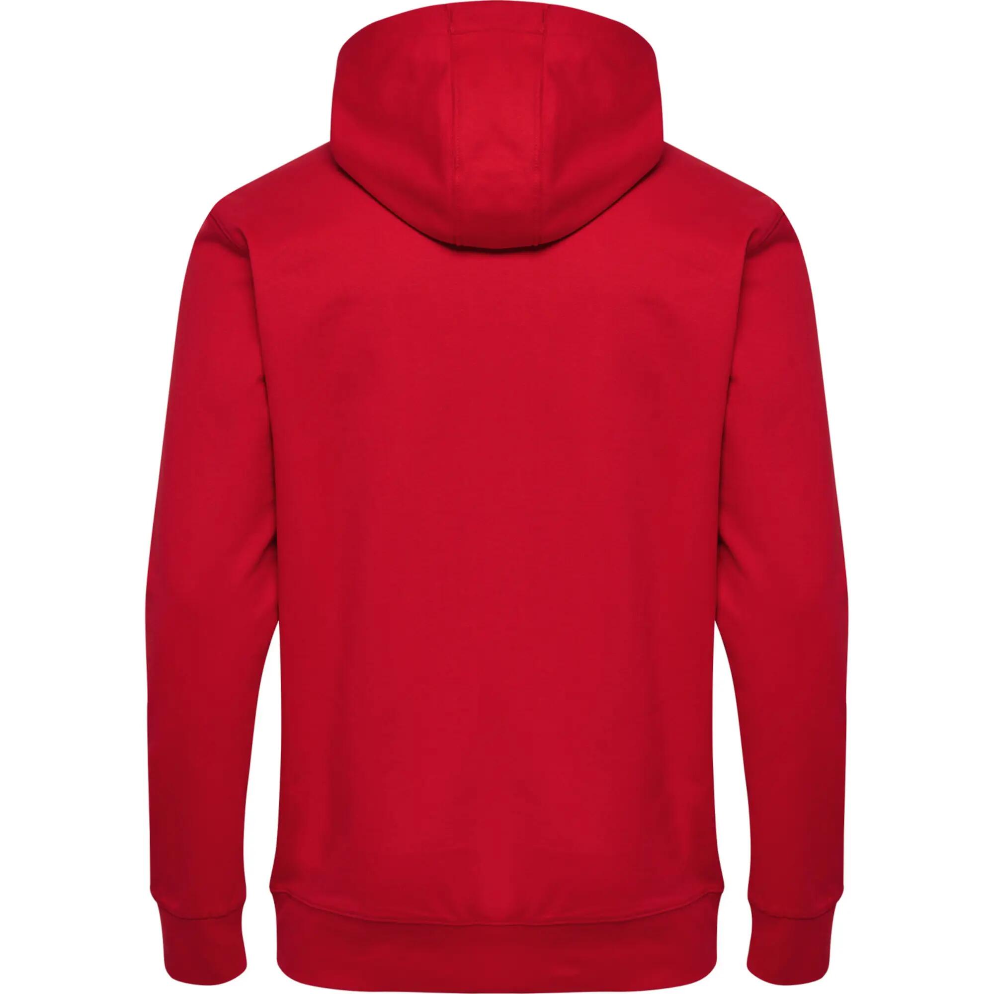 Bluza z kapturem Hummel Go 2.0 Logo 10/12