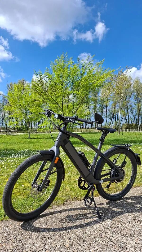 STROMER picture