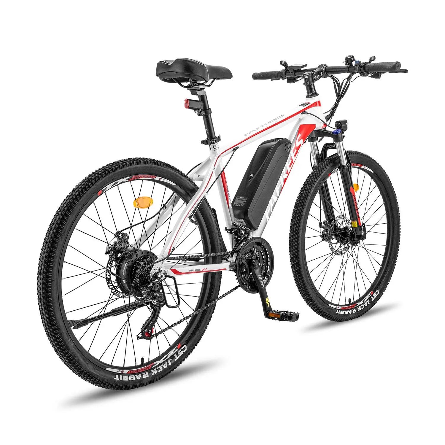 Electric Bike FAFREES Hailong One 250W 36V13.5AH 26" Wit 5/5