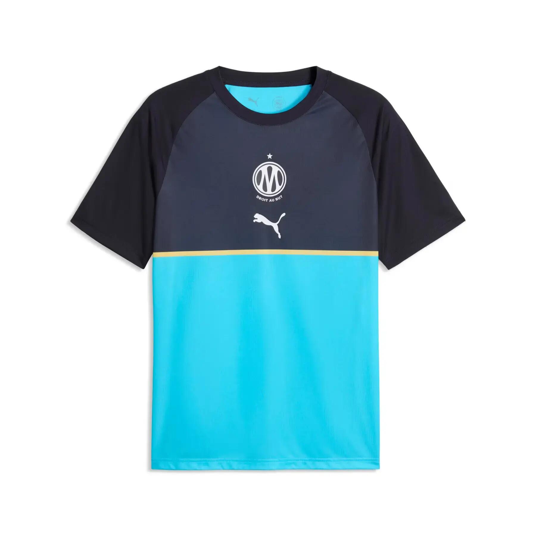 PUMA picture