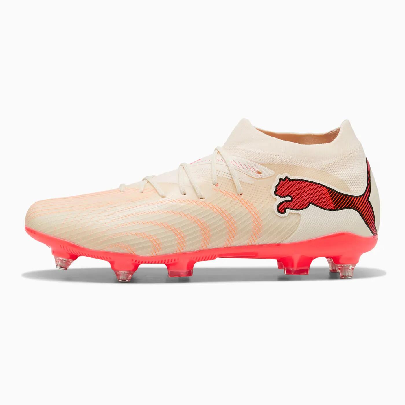 PUMA picture