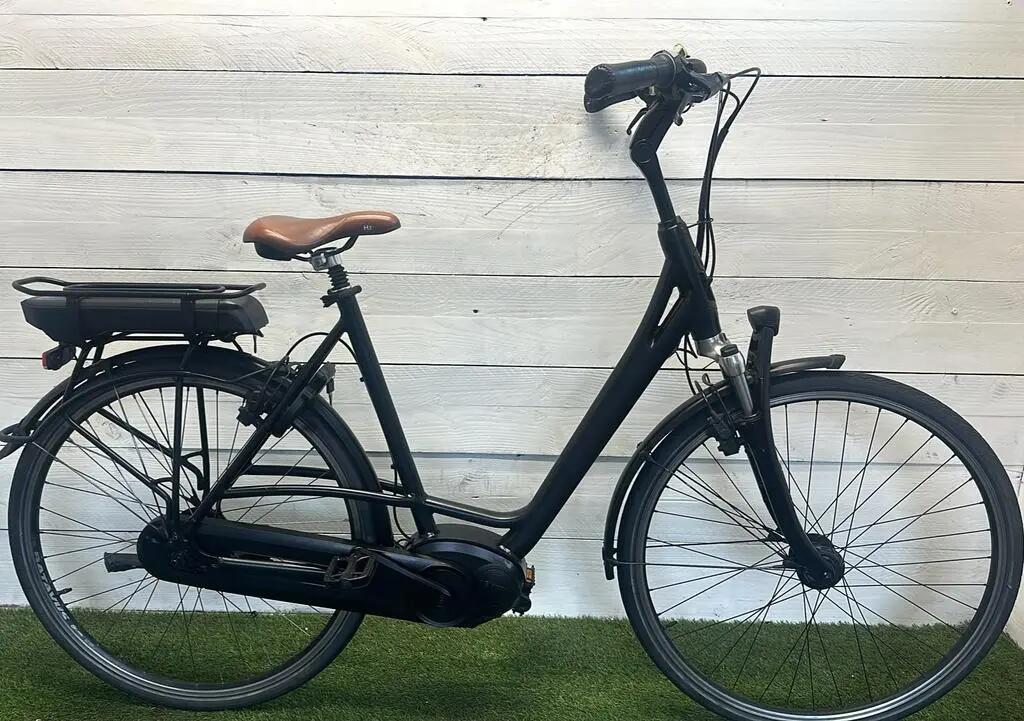 BATAVUS picture