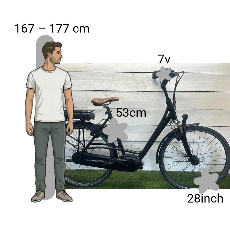 Bicicleta usada Batavus Wayz E-Bike 2/4