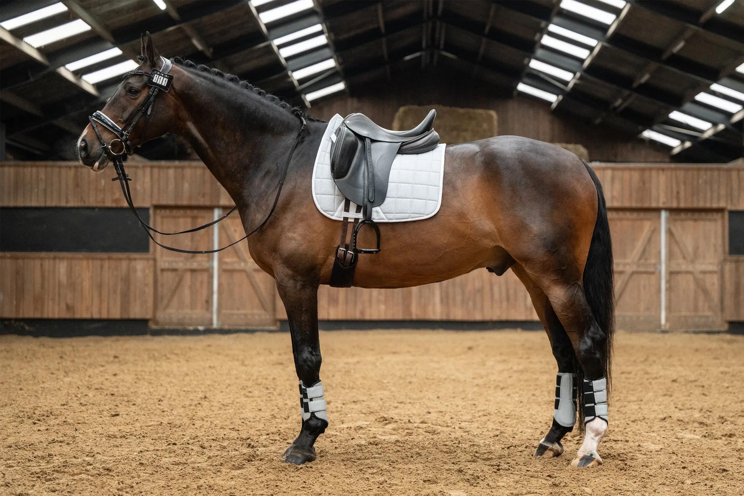 Esteira de dressage para cavalos HKM Glitter Mesh 6/6