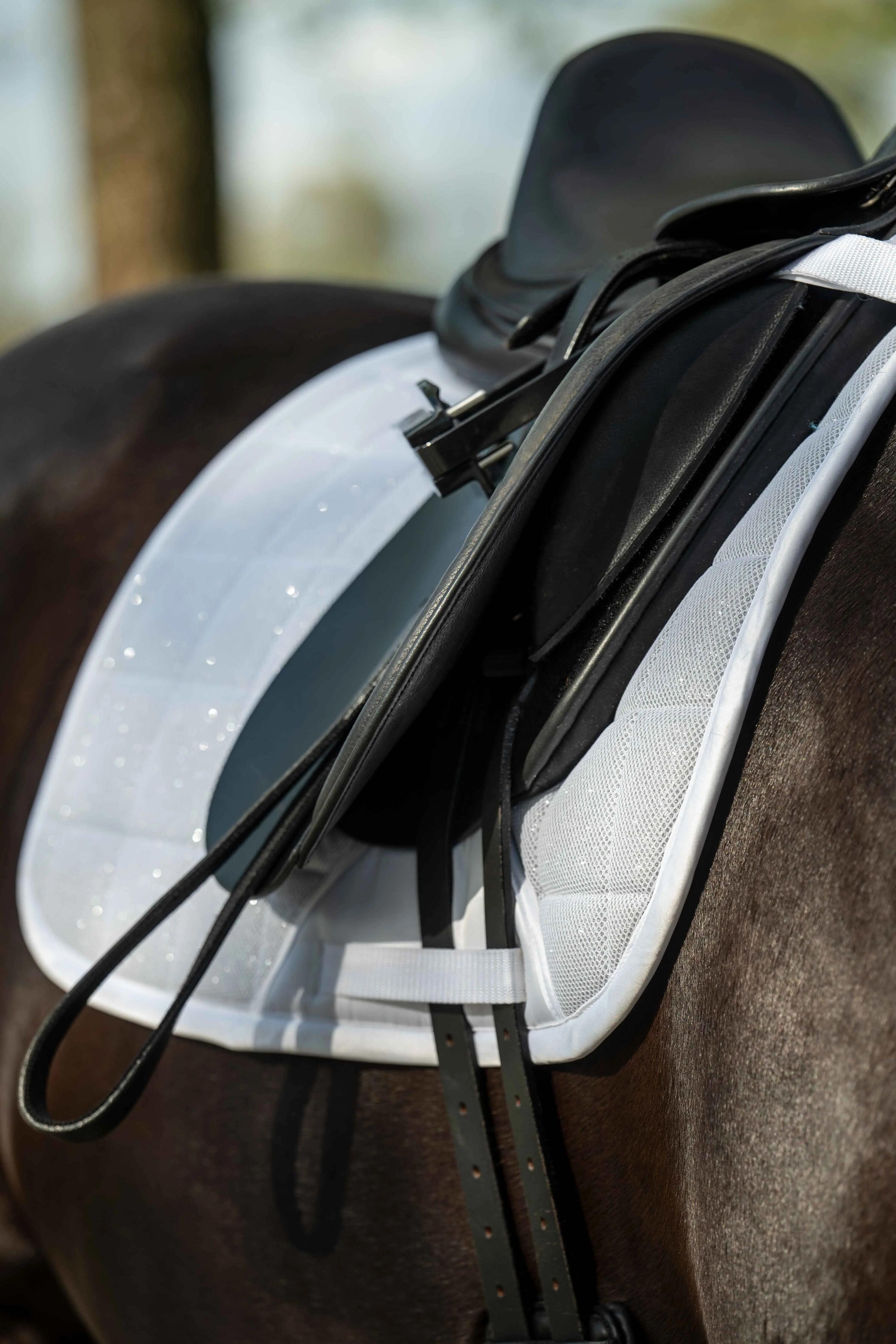 Esteira de dressage para cavalos HKM Glitter Mesh 3/6
