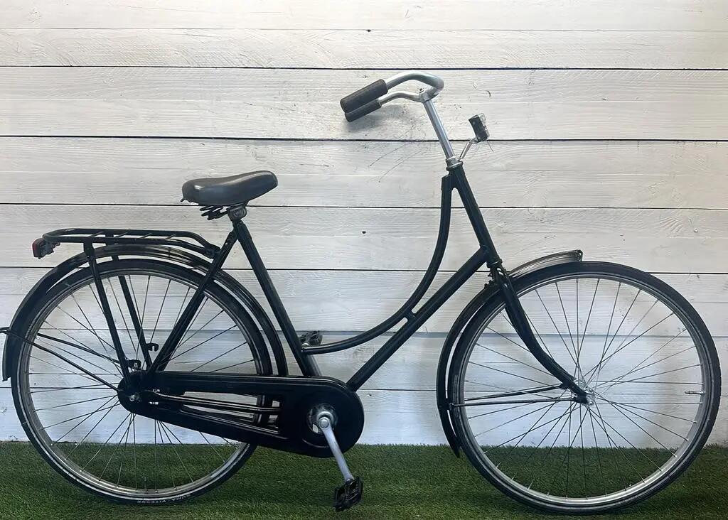 BATAVUS picture