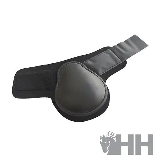 HISPANO HIPICA picture
