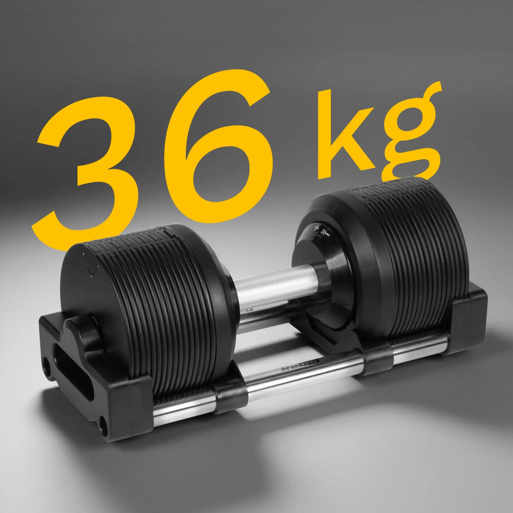 Hantel żeliwny regulowany automat 36 kg skok co 1kg Rebel 6/7
