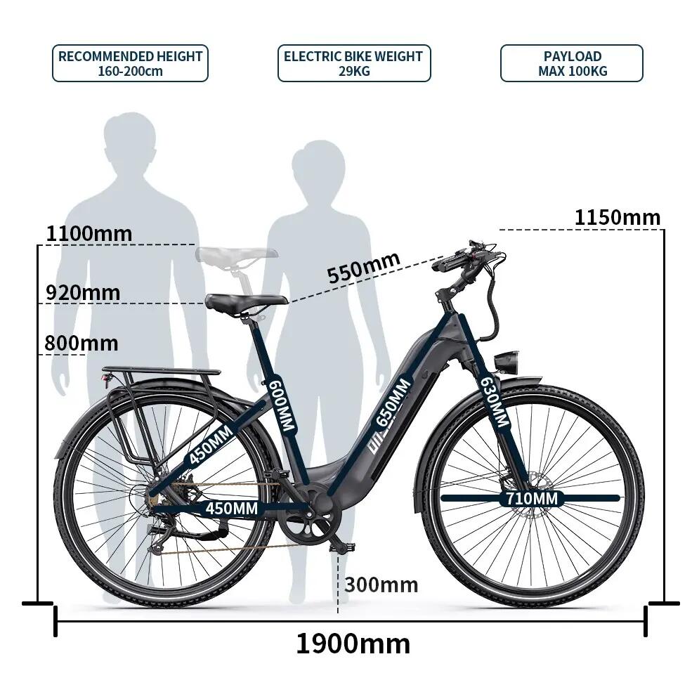 Elektrische fiets voor volwassenen ONESPORT OT05 PRO 36V250W 140KM BEREIK 7/7