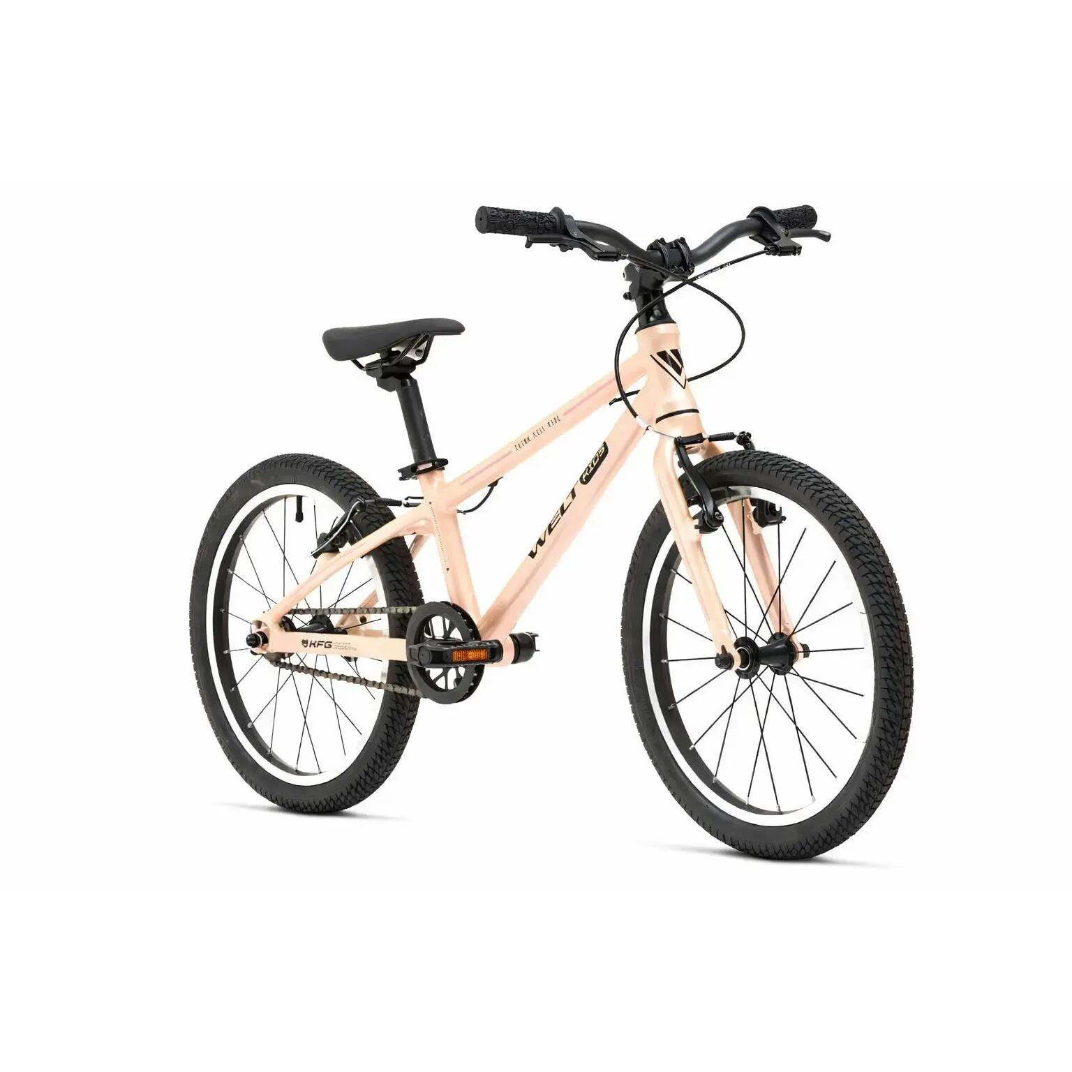 WELT BIKES picture