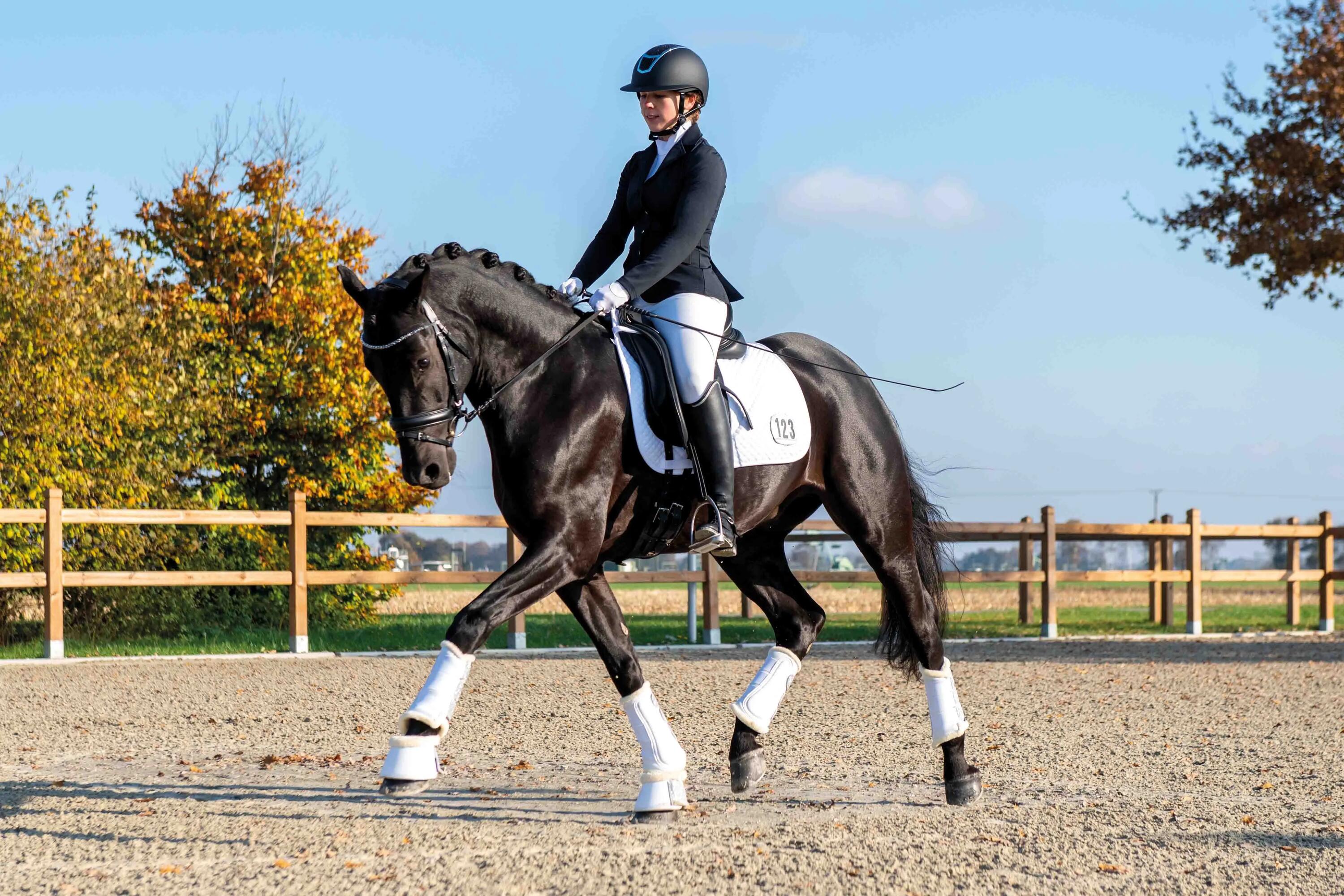Esteira de dressage para cavalos HKM Competition 4/6