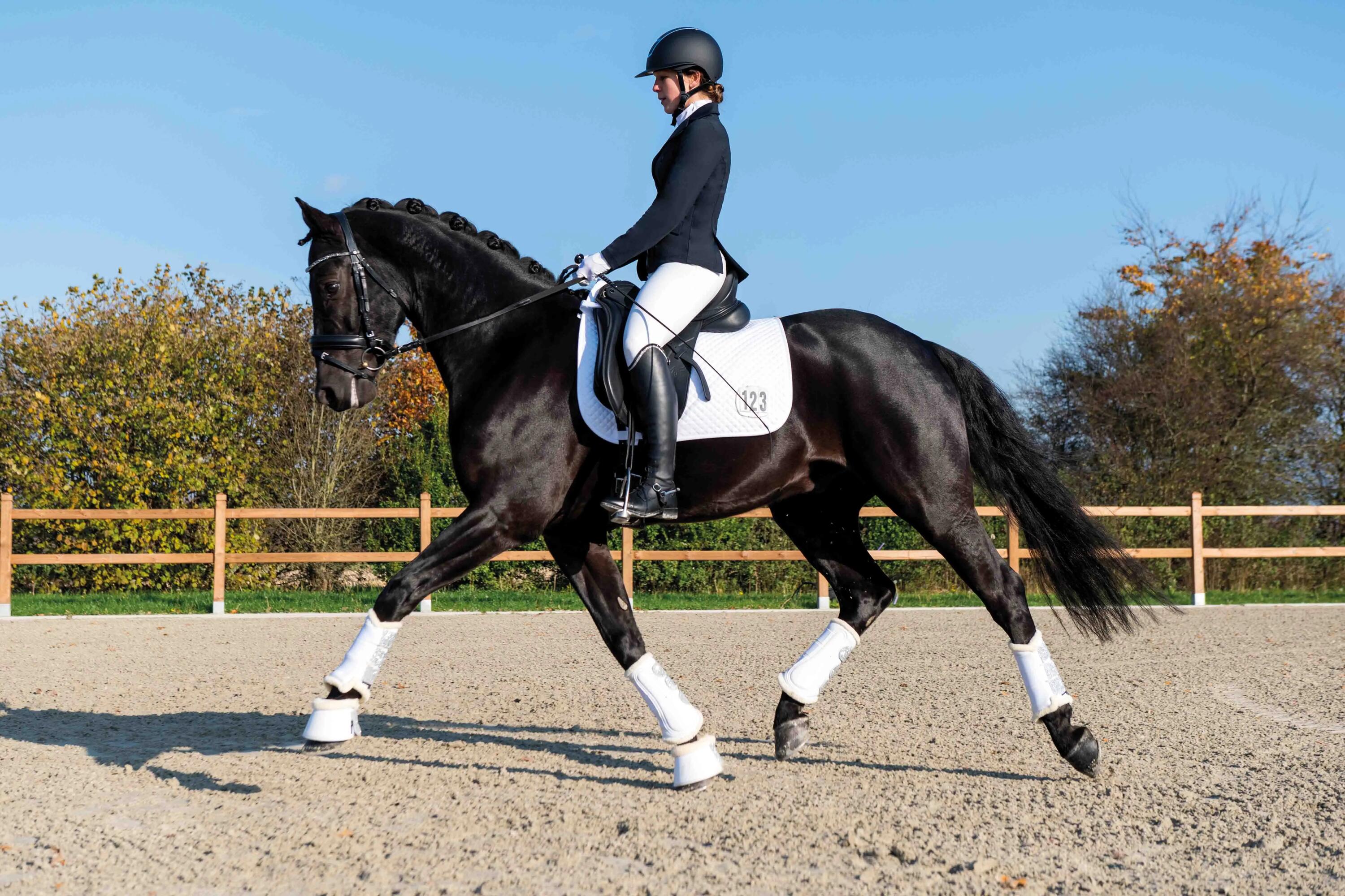 Esteira de dressage para cavalos HKM Competition 3/6