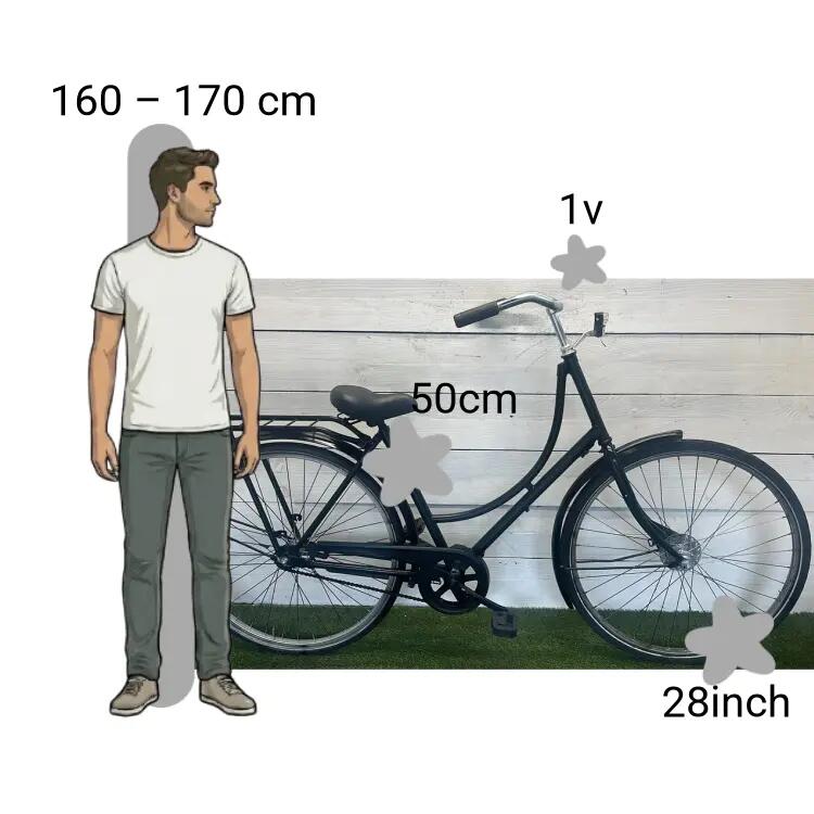Bicicletta usata Batavus 2/4