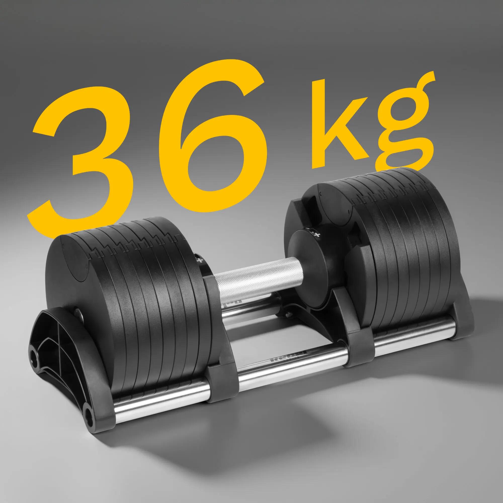 Hantel żeliwny regulowany automat 36 kg skok co 2kg Rebel 6/7