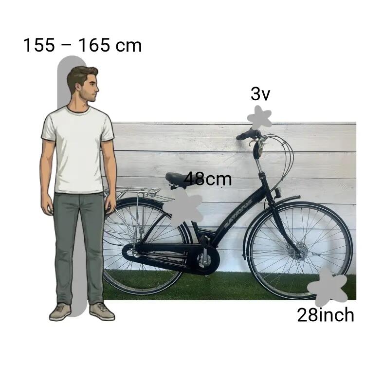 Bicicletta usata Batavus Live 2/4