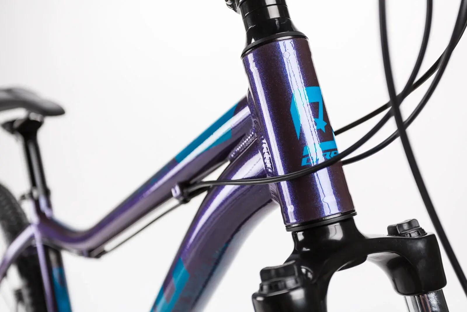 fahrradanhänger reinigen Qindoo E-Bike Reinigungs-Schaum, Fahrrad Reiniger für E-Bike, Lastenrad, Kinder Fahrradanhänger, Lastenanhänger komplett Reinigen, 1L Nachfüll Sport & Freizeit Größe wählen:1 Stk. Lagerschrank Victoria Manoc 4: E-Trekkingrad