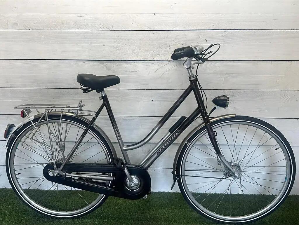 BATAVUS picture