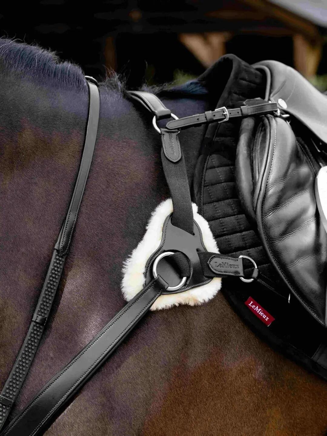 Jachthalsband voor paarden LeMieux 6/7