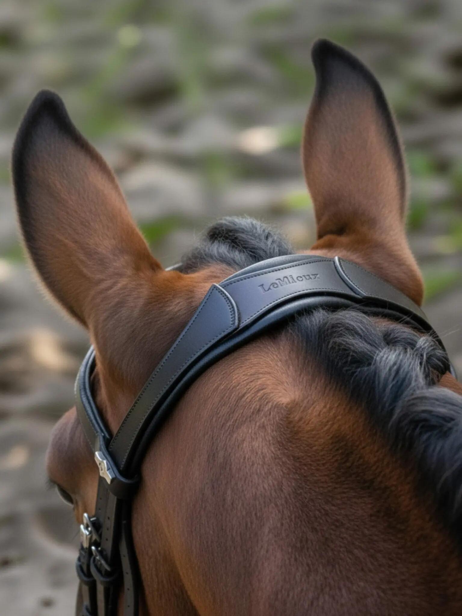 Bridons ruiterij voor dressuurpaard LeMieux 4/4