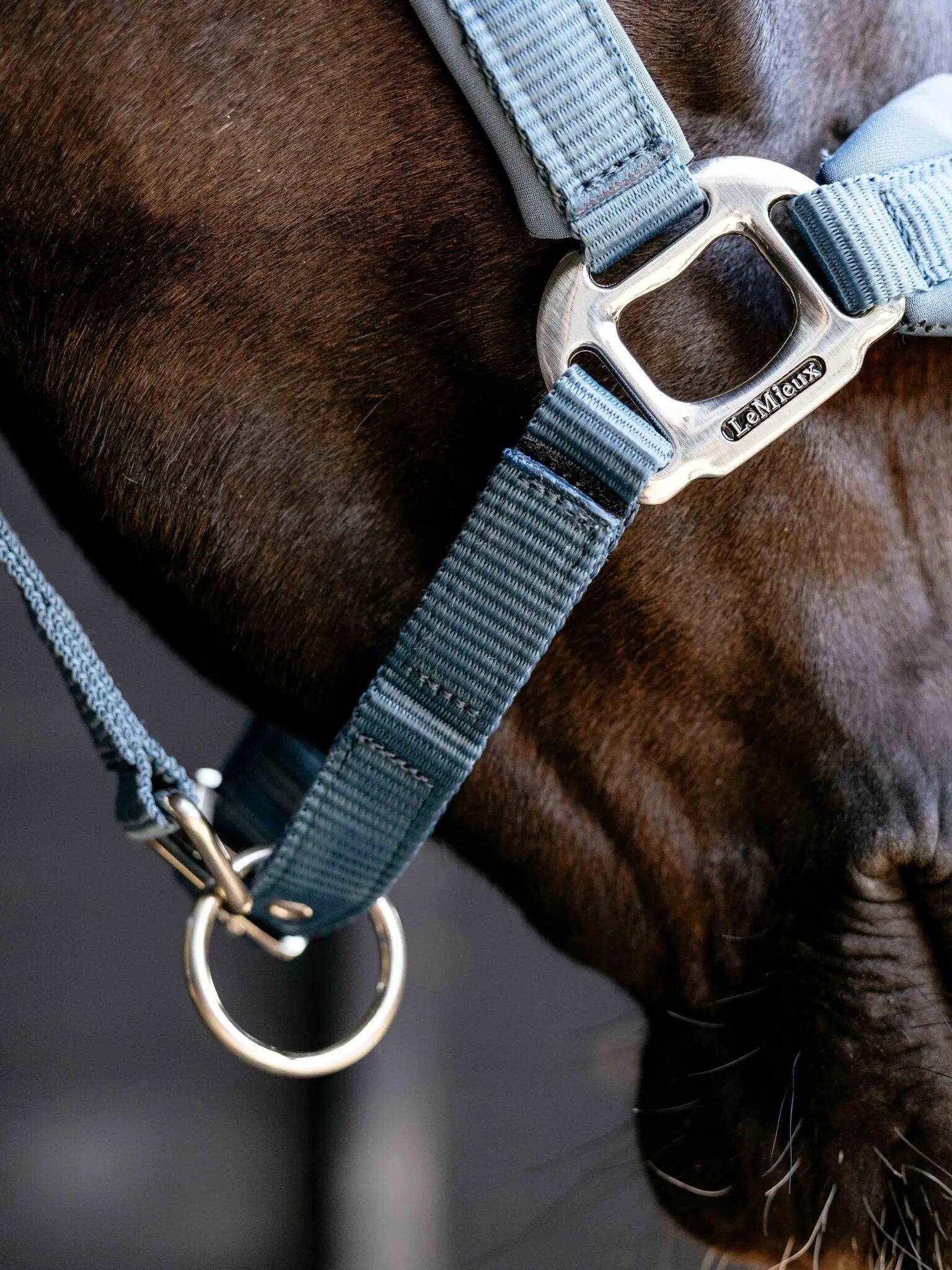 Nylon paardenhalster LeMieux Vogue 7/7