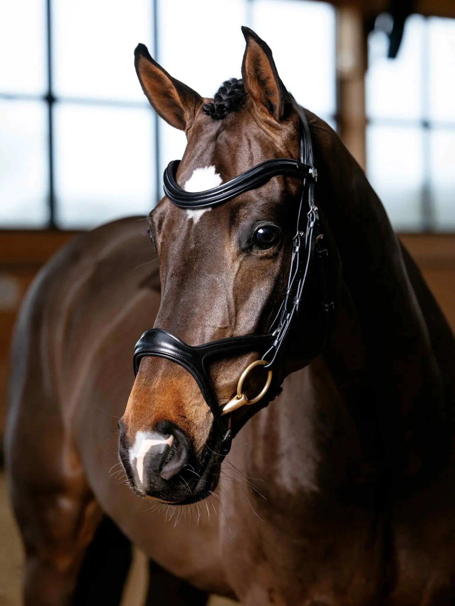 Hoofdstellen voor paarden LeMieux 6/6