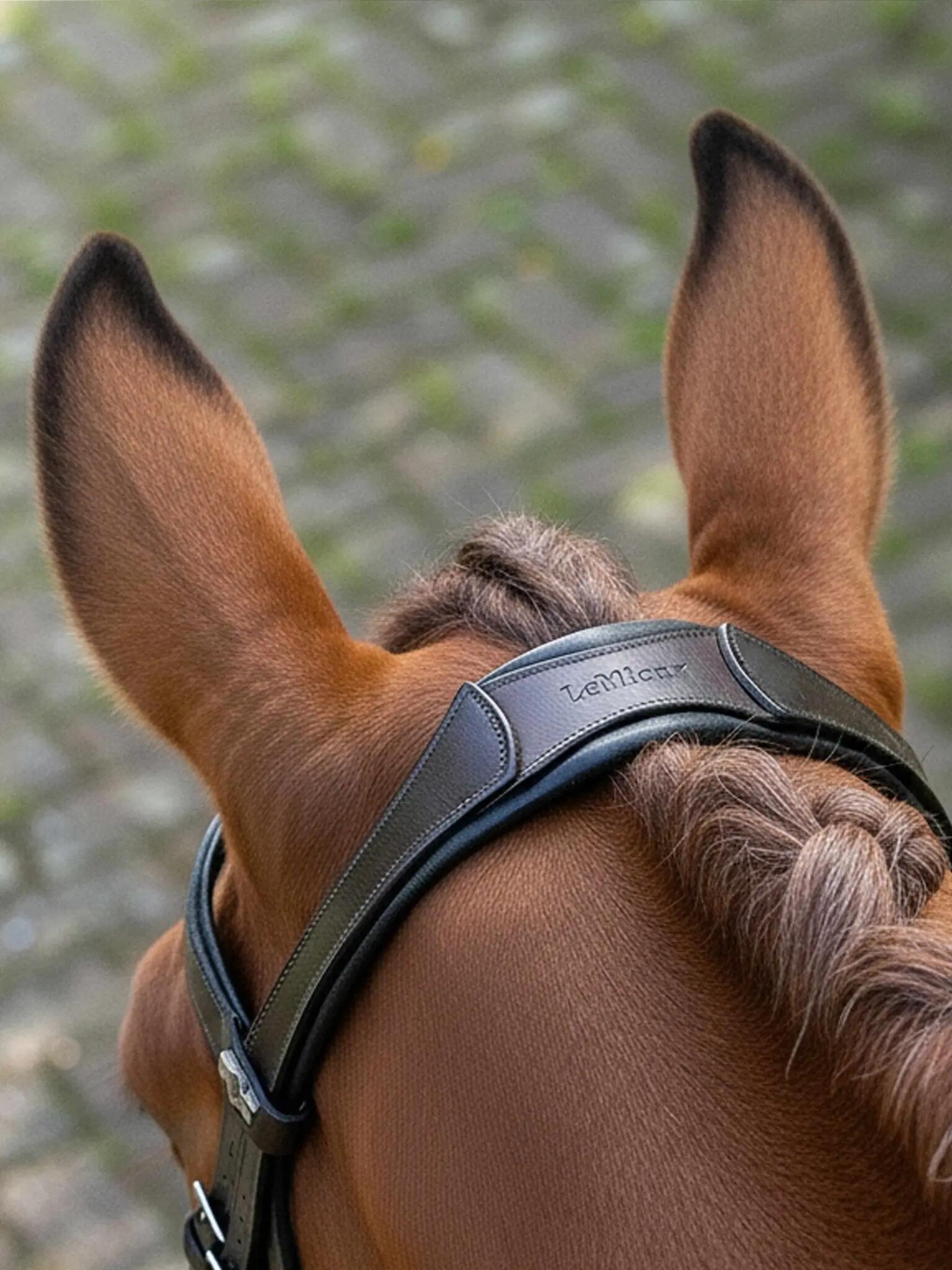 Bridons ruiterij voor dressuurpaard LeMieux 3/4