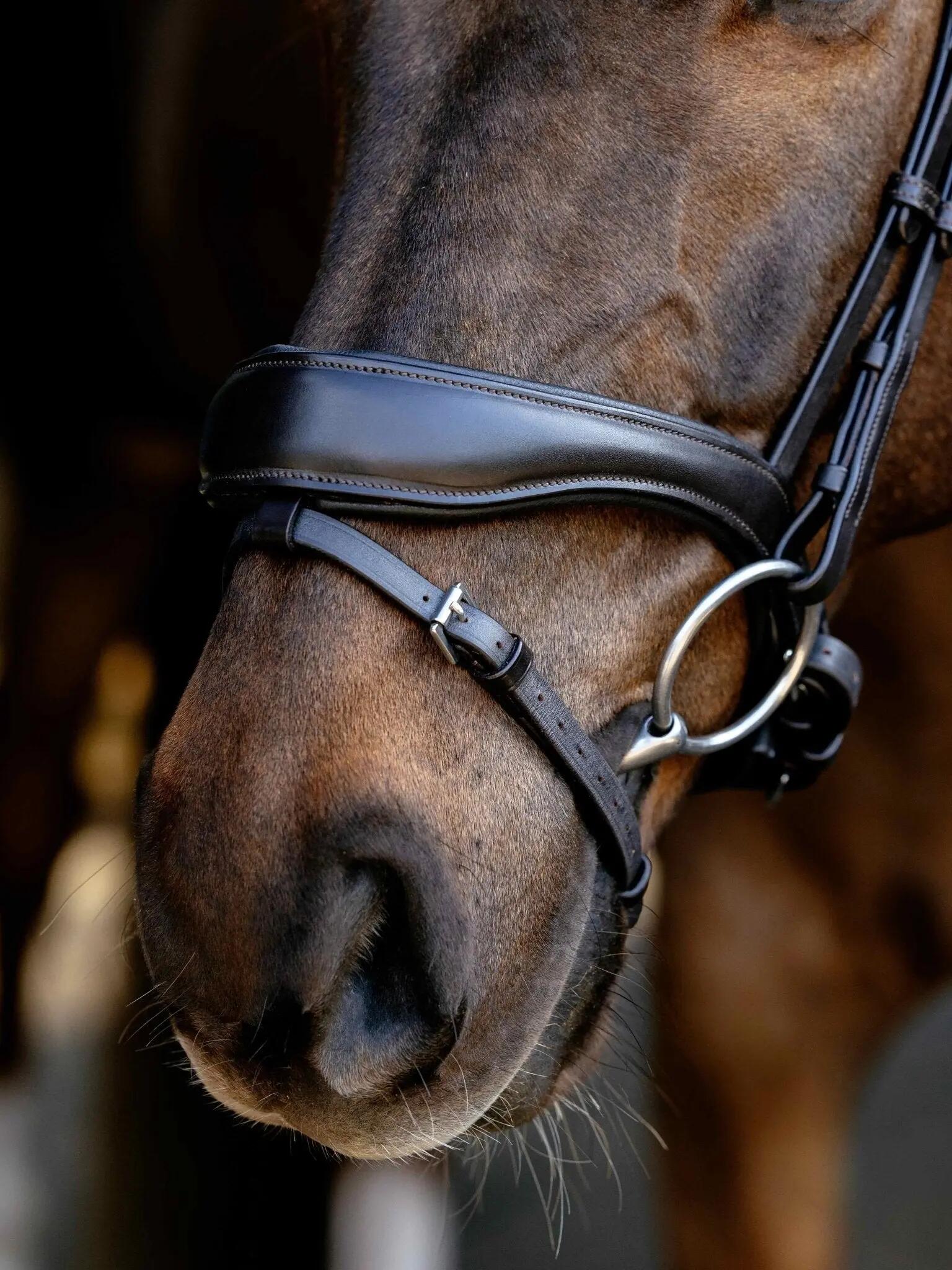 Anatomische paardenruiters biedingen LeMieux 5/6