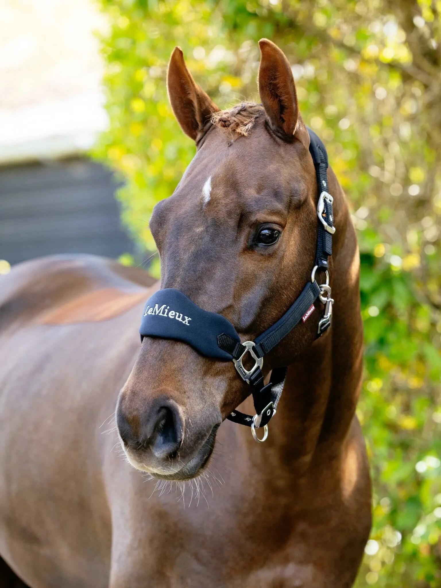 Nylon paardenhalster LeMieux Vogue 6/7