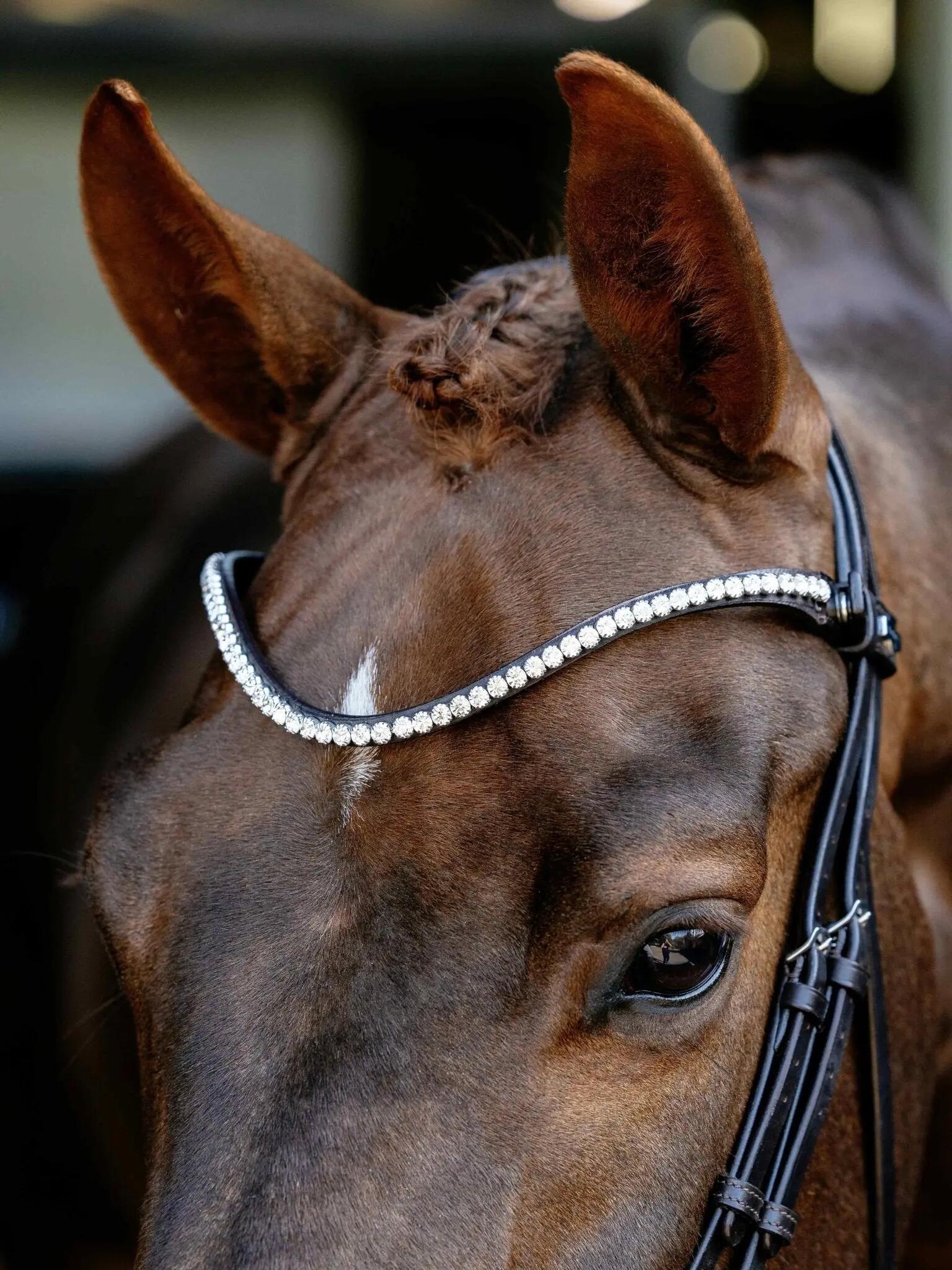 Bridons équitation pour cheval dressage LeMieux 4/6