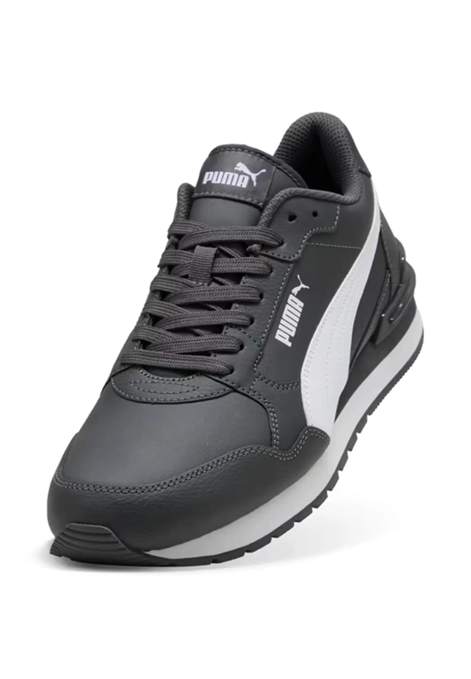 PUMA picture