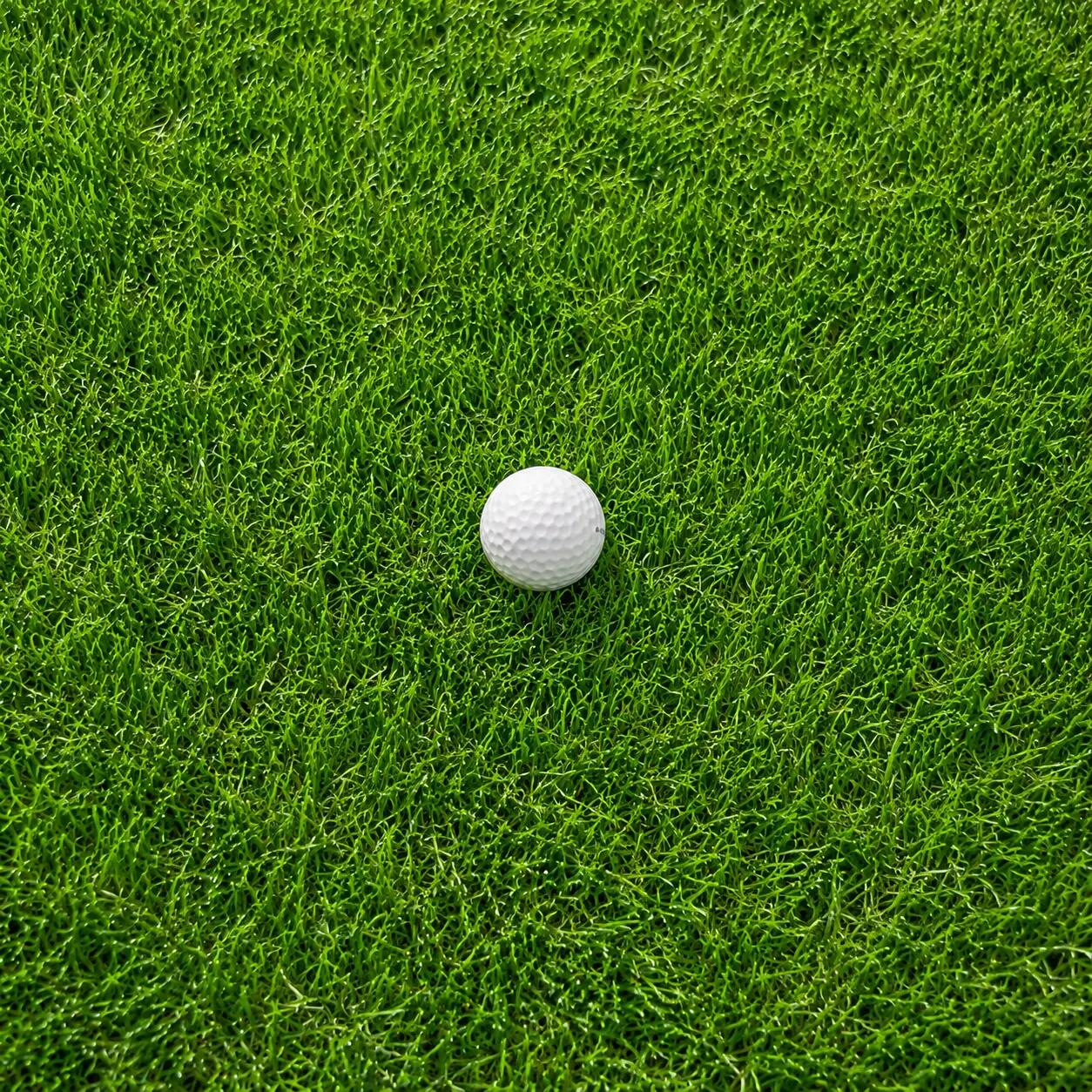 Lorvik Rotolo Prato Sintetico 30 mm — 1×5 m (5 m²) per Giardino e Zona Relax 3/7