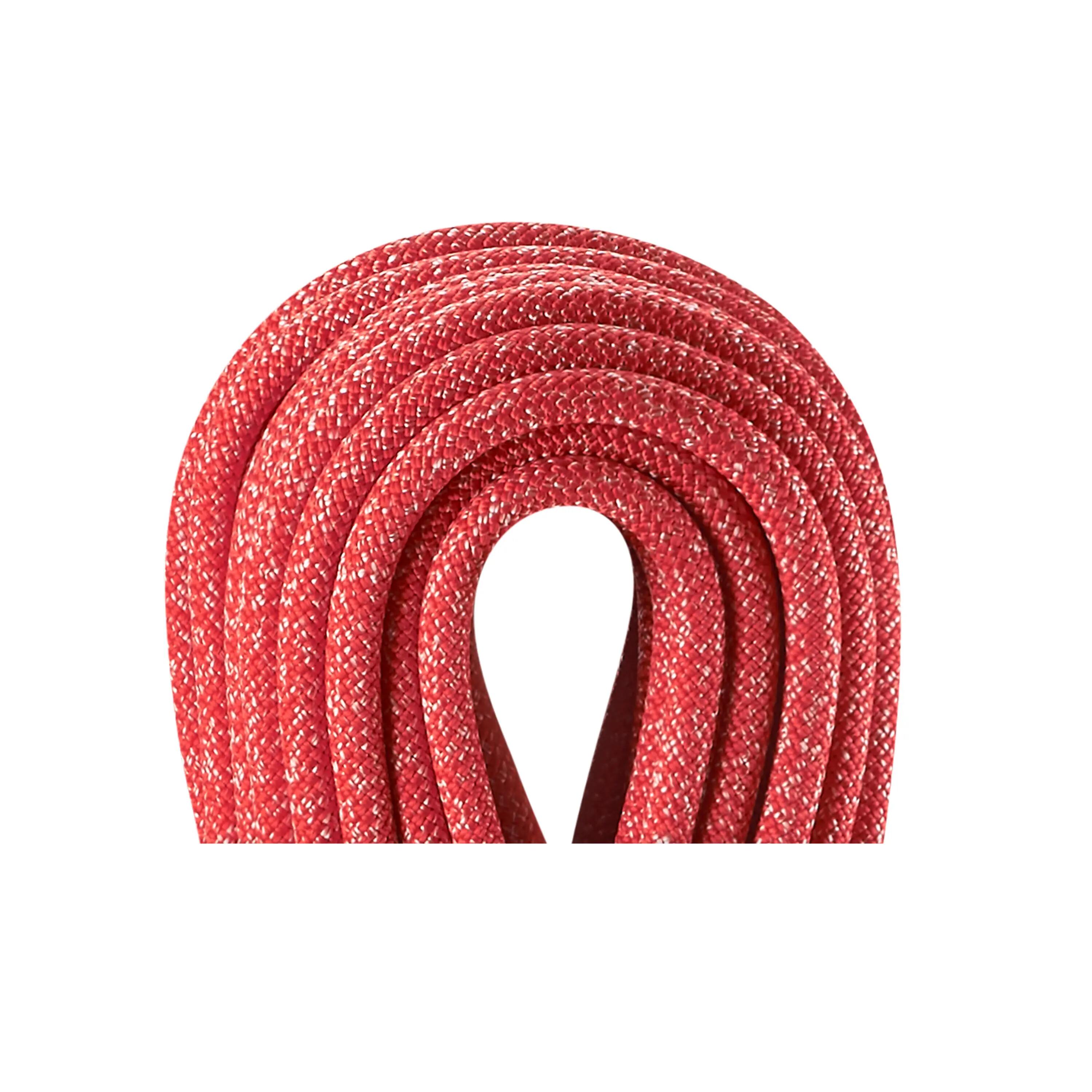Lina dynamiczna Boa 9,8Mm 40M 2/2