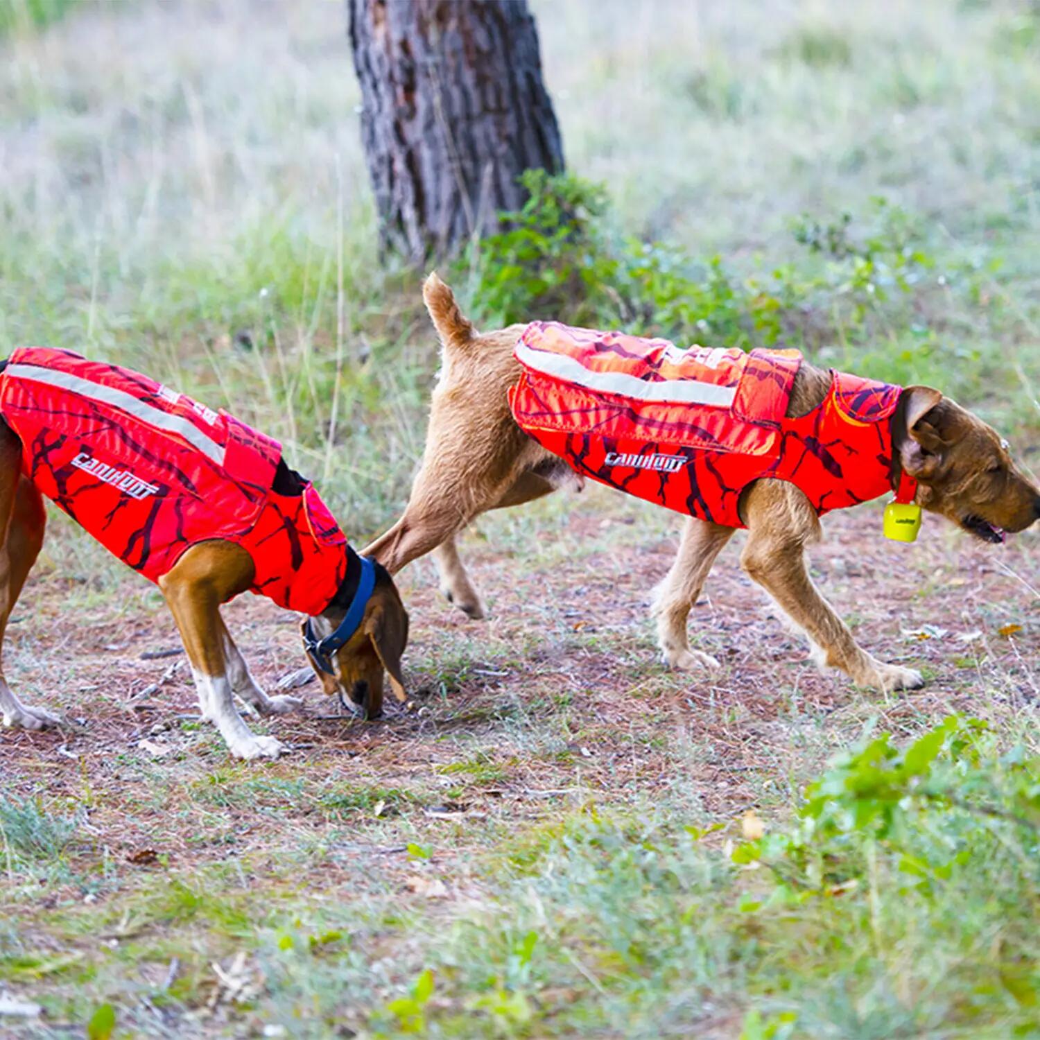 Gilet de protection pour chien de chasse DEFENDER 2.0 CANIHUNT 6/8