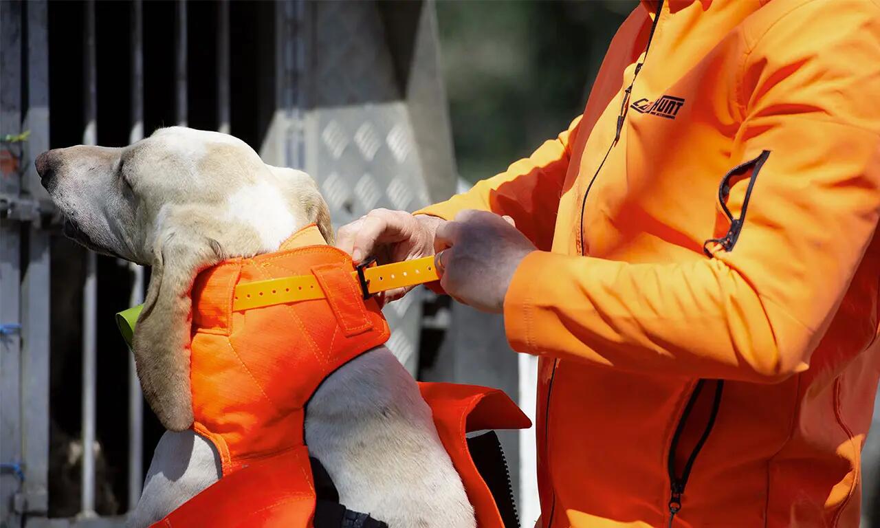 Gilet de protection pour chien de chasse PROTECT PRO L'ORIGINAL CANIHUNT 6/9