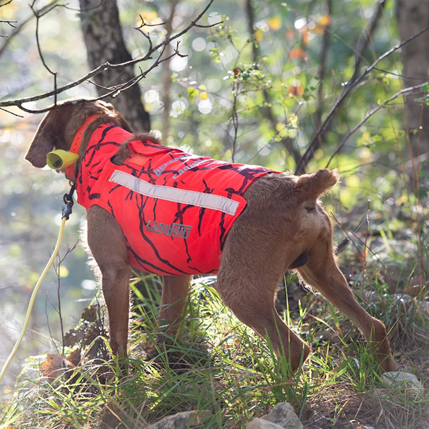 Gilet de protection pour chien de chasse DEFENDER 2.0 CANIHUNT 4/8