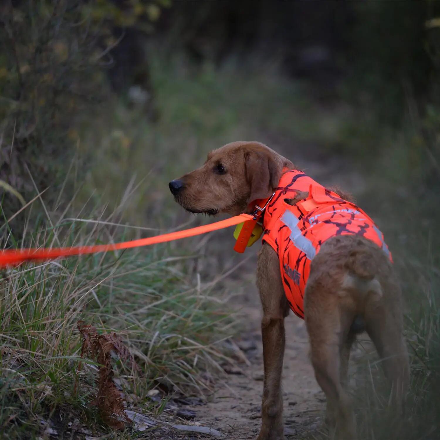 Gilet de protection pour chien de chasse DEFENDER 2.0 CANIHUNT 3/8