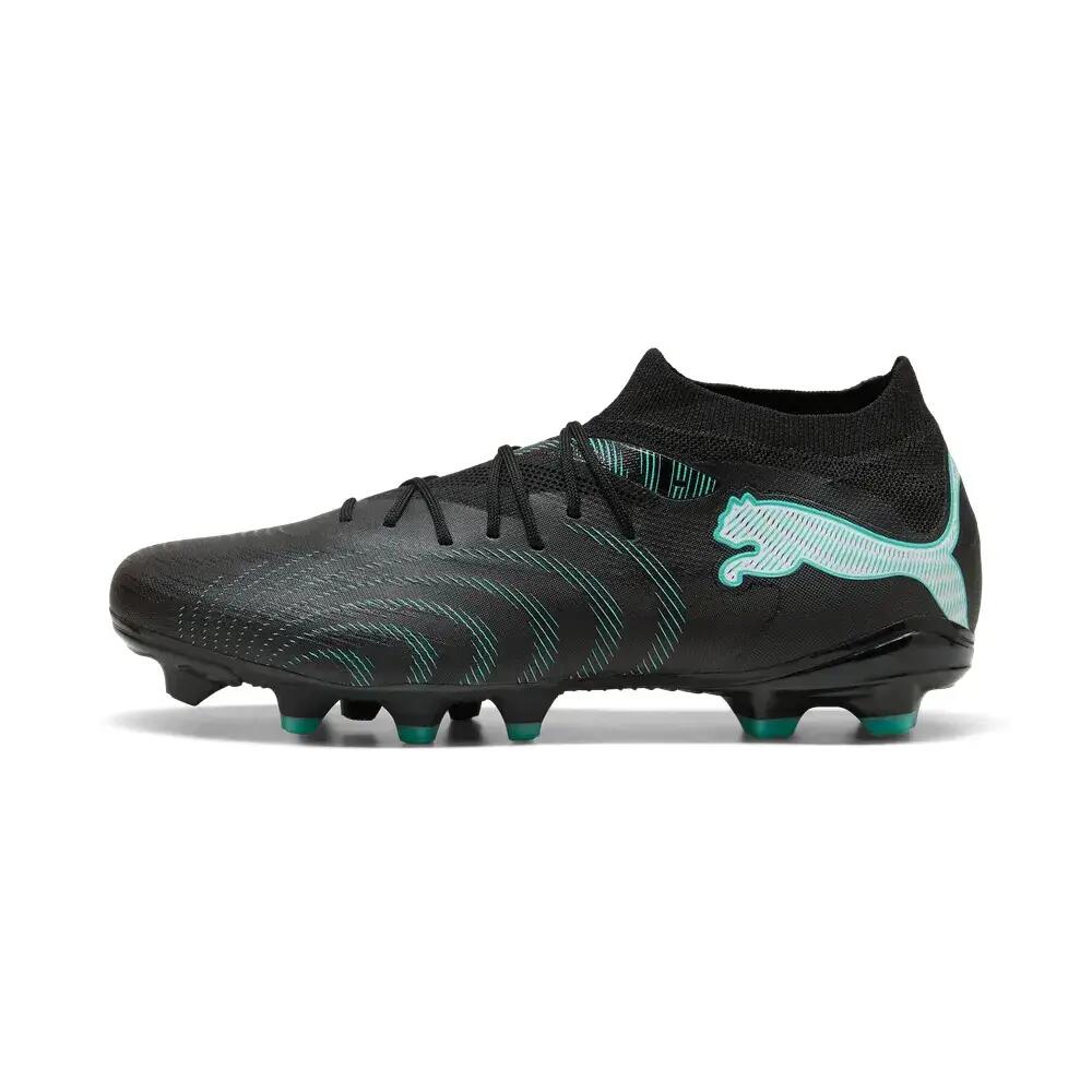 PUMA picture