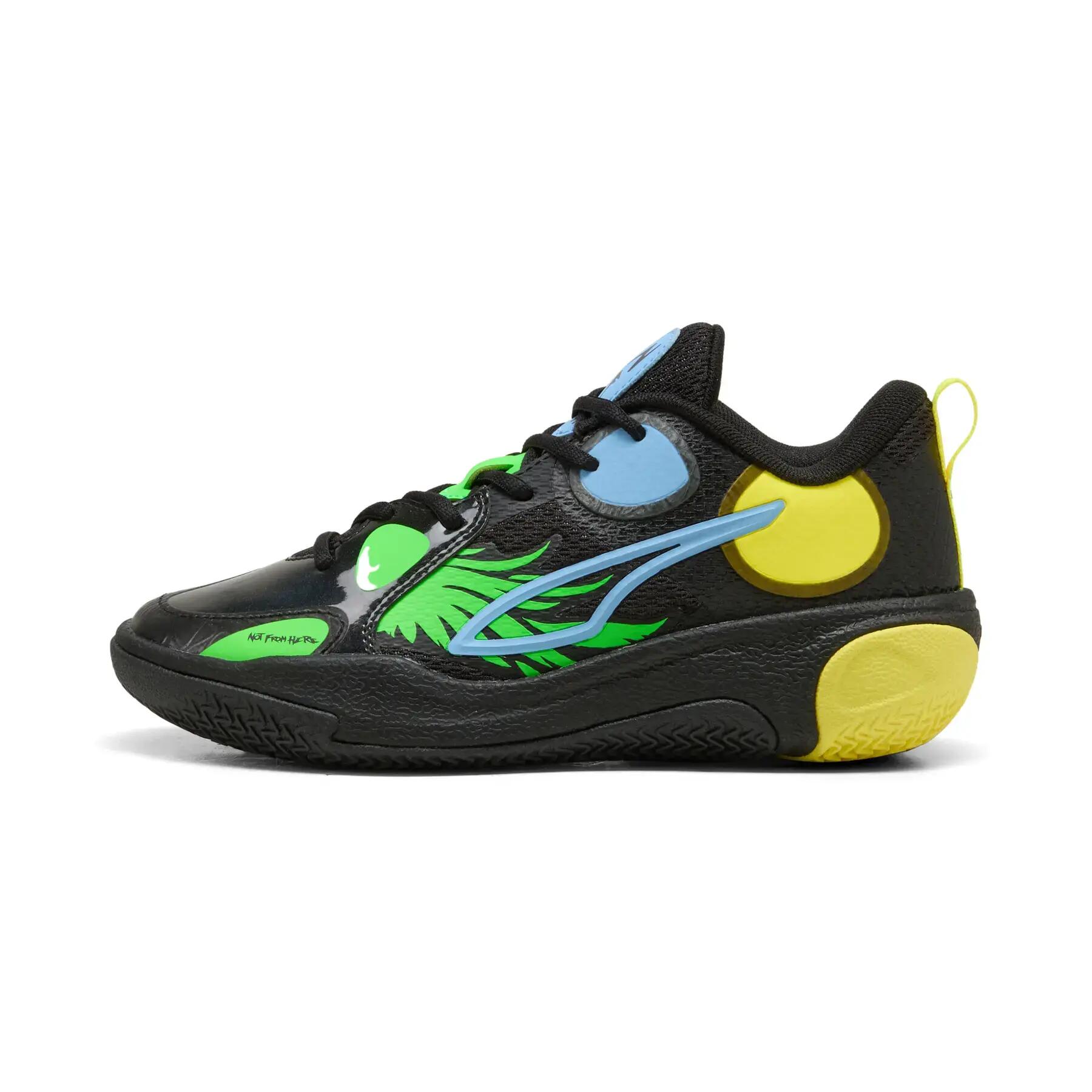 PUMA picture