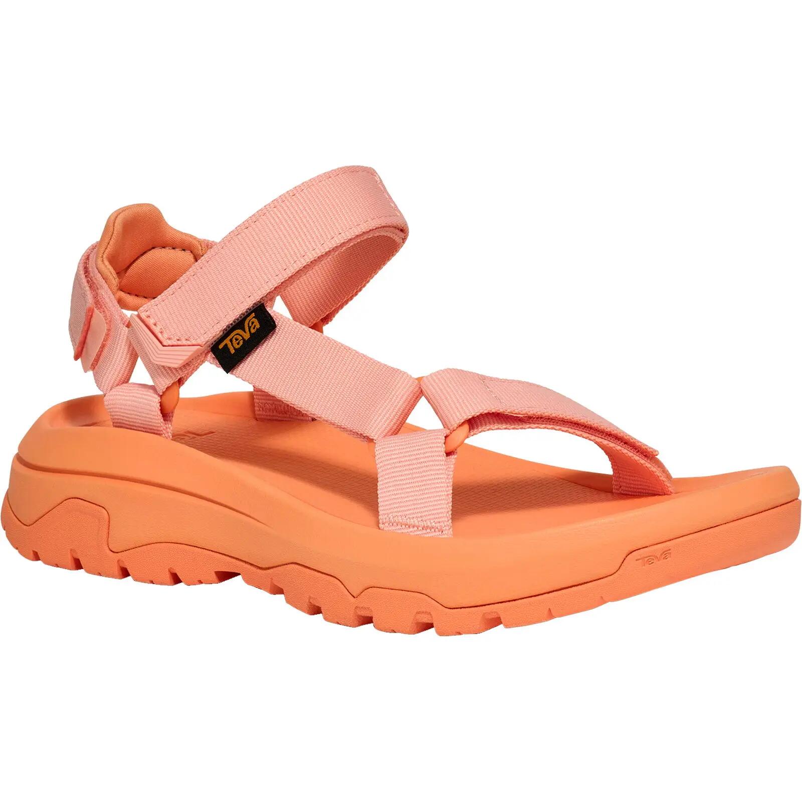 TEVA picture