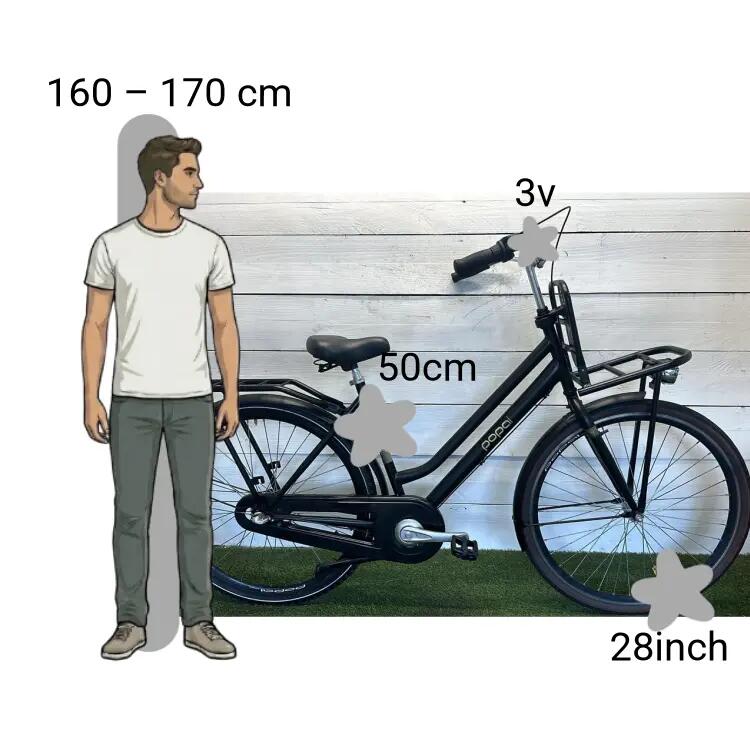 Tweedehands Popal Transportfiets 2/4